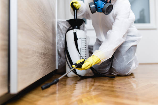 Best Termite Control Services  in Brewster, WA