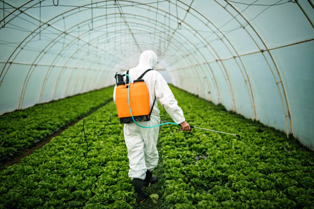 Best Local Pest Control Services  in Brewster, WA