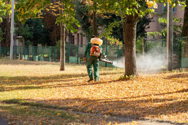 Best Bed Bug Extermination  in Brewster, WA