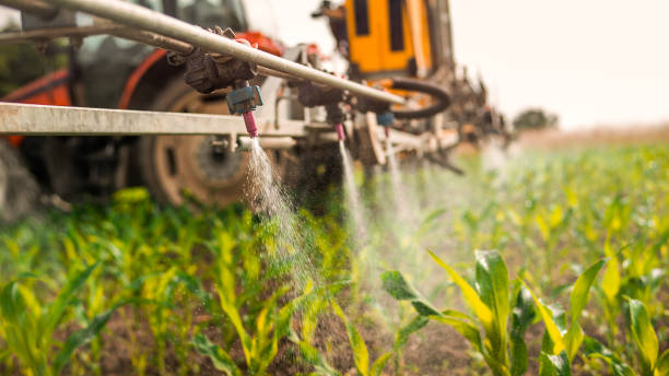 Best Mosquito Control Services  in Brewster, WA